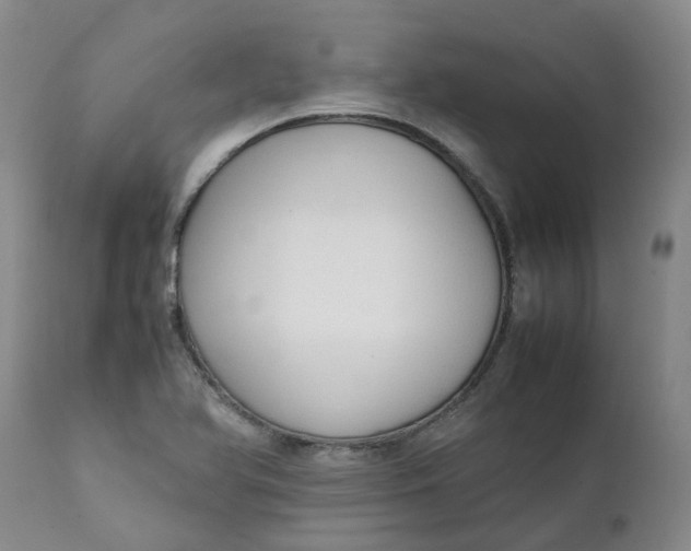 X0000111251366200907161356