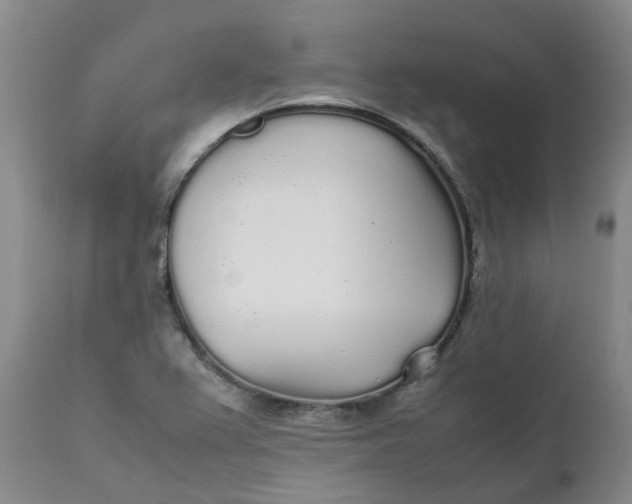 X0000111251367200907161356