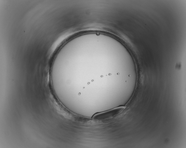 X0000111251368200907161356