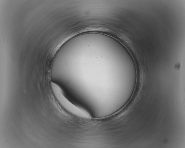 X0000111251369200907161356