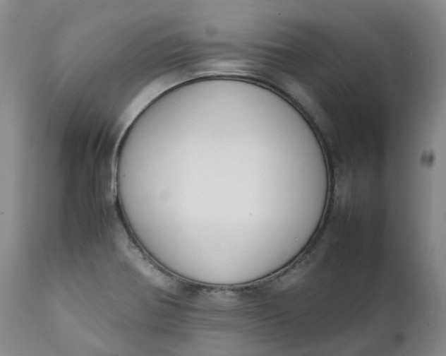 X0000111251370200907161356