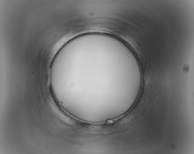 X0000111251371200907161356