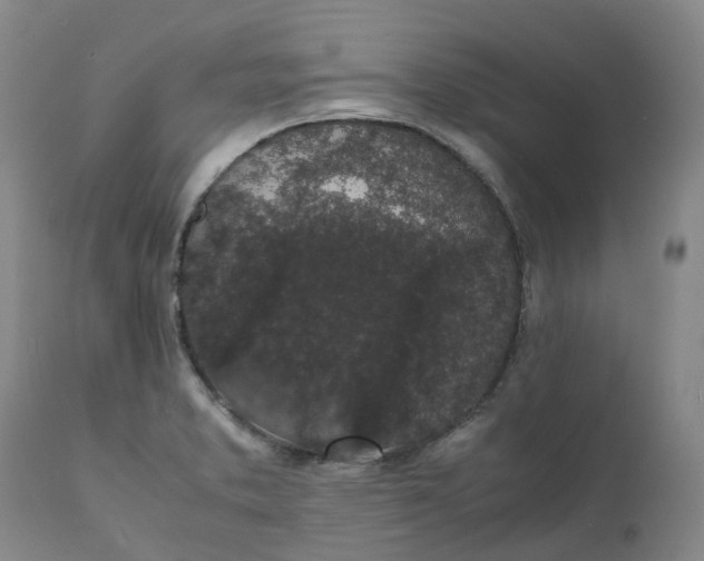 X0000111251373200907161356