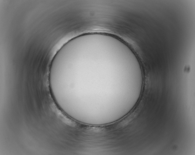 X0000111251374200907161356