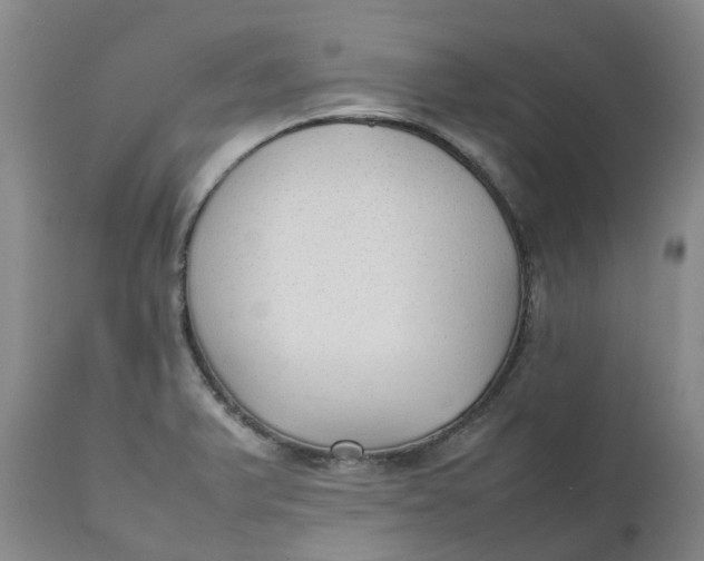 X0000111251375200907161356