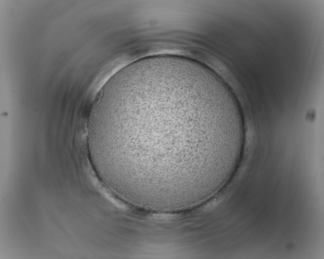 X0000111251377200907161356