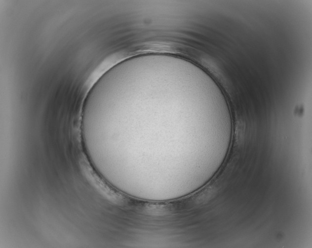 X0000111251378200907161356