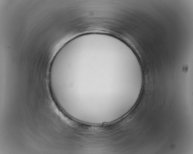 X0000111251379200907161356