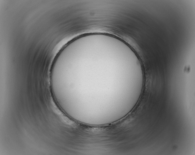 X0000111251380200907161356