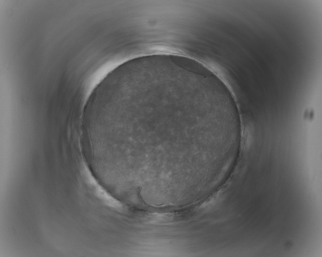 X0000111251381200907161356