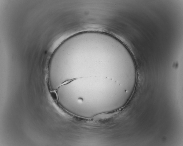 X0000111251383200907161356