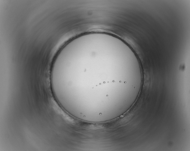 X0000111251384200907161356