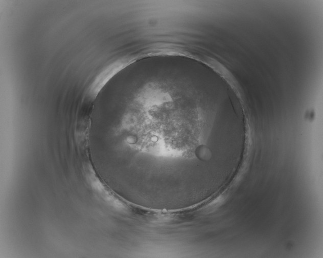 X0000111251385200907161356