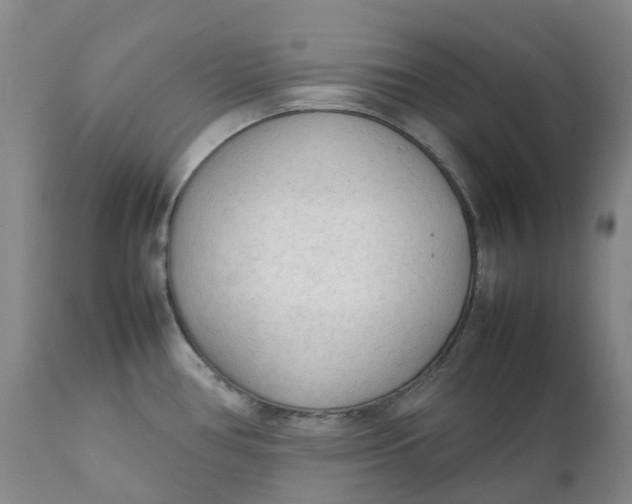 X0000111251386200907161356