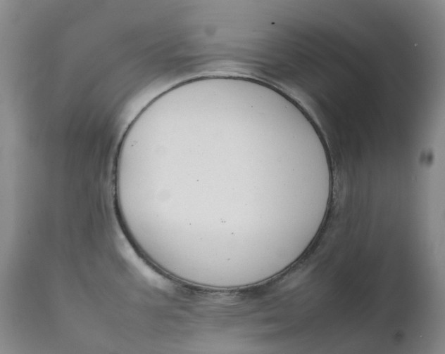 X0000111251387200907161356