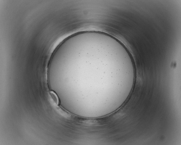 X0000111251388200907161356