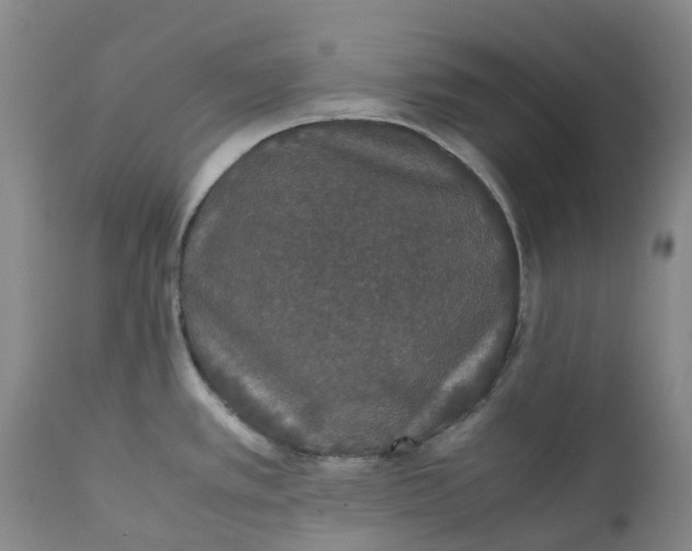 X0000111251389200907161356