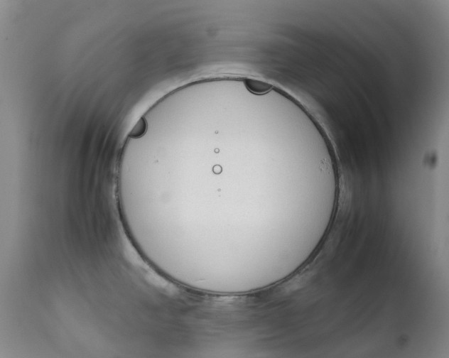 X0000111251390200907161356