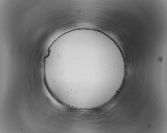 X0000111251391200907161356