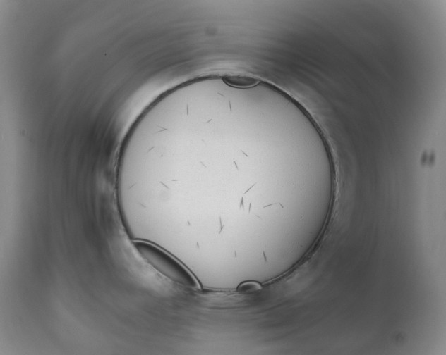 X0000111251392200907161356