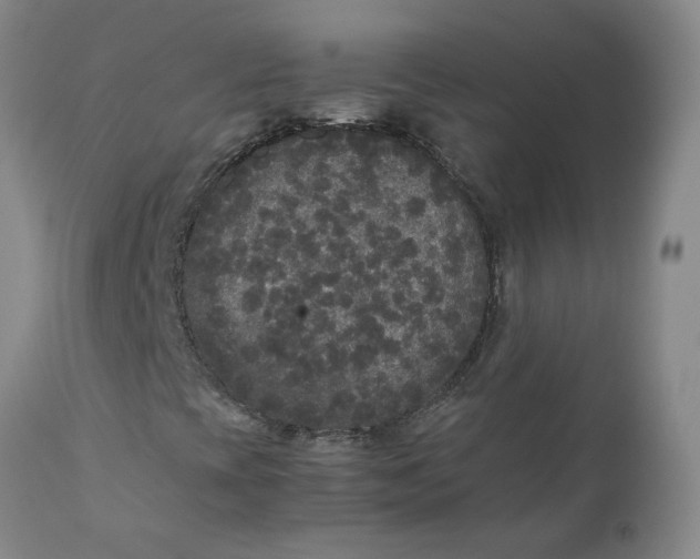 X0000111251393200907161355