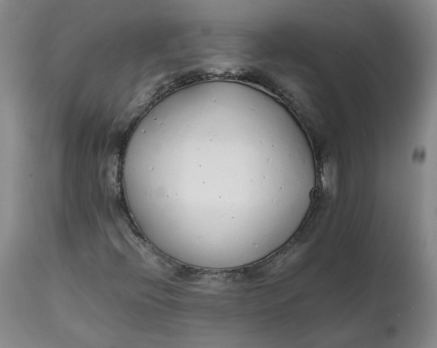 X0000111251396200907161355