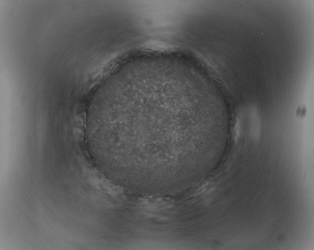 X0000111251397200907161355