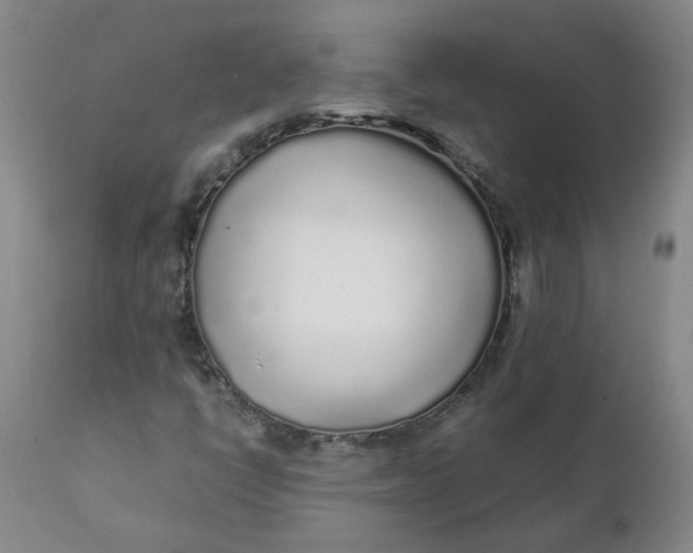 X0000111251398200907161355