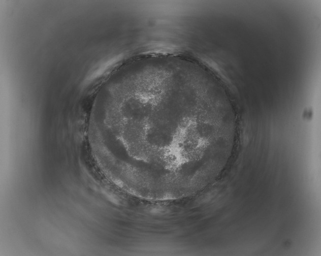 X0000111251399200907161355