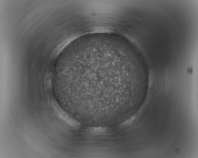 X0000111251401200907161355