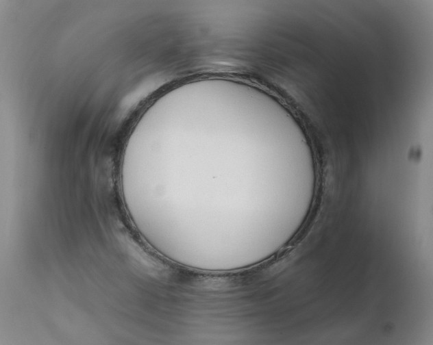 X0000111251402200907161355