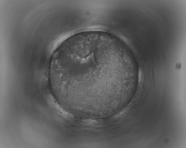 X0000111251405200907161355