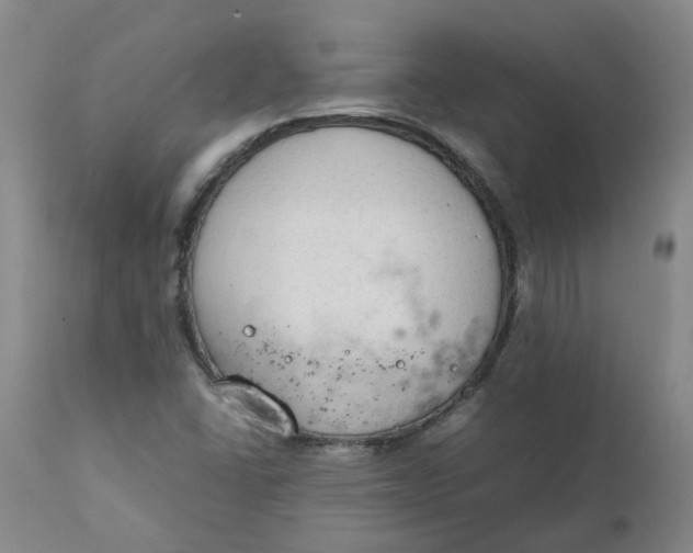 X0000111251406200907161355