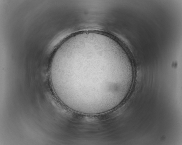 X0000111251407200907161355