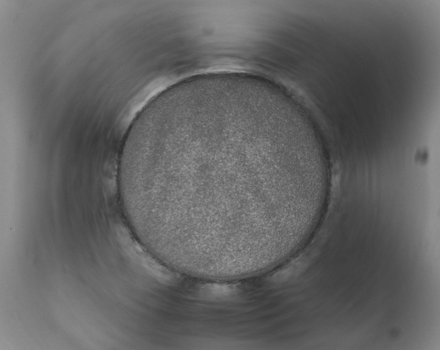 X0000111251409200907161355