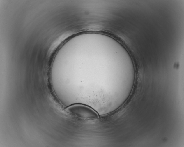 X0000111251410200907161355