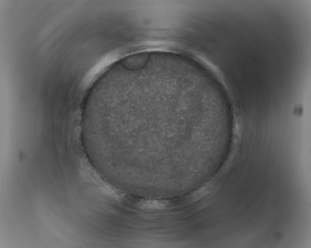 X0000111251411200907161355