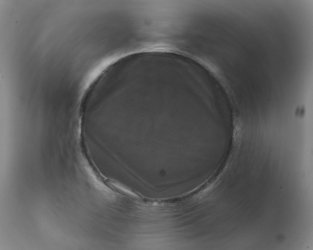 X0000111251414200907161355