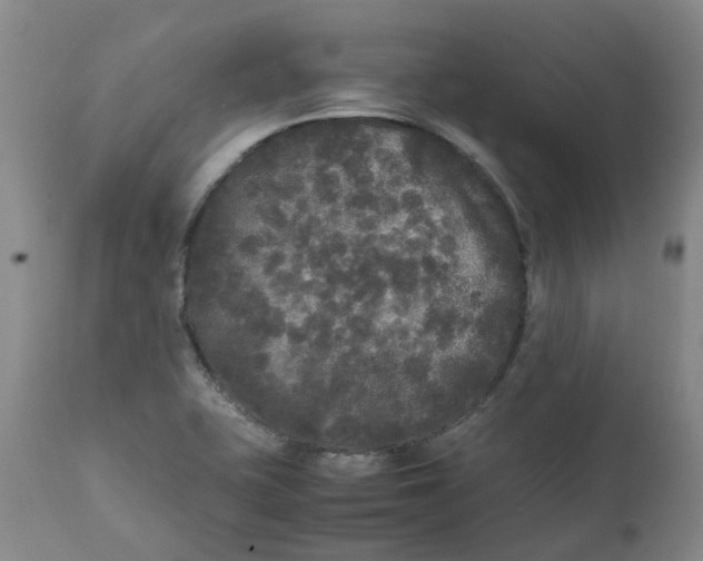 X0000111251415200907161355