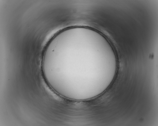 X0000111251416200907161355