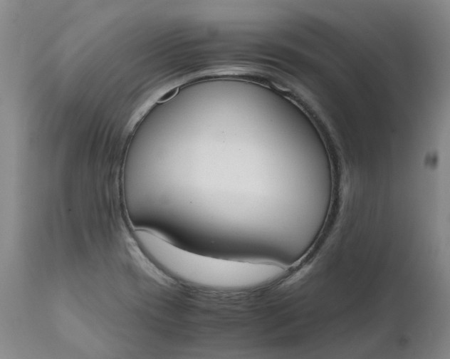 X0000111251417200907161355