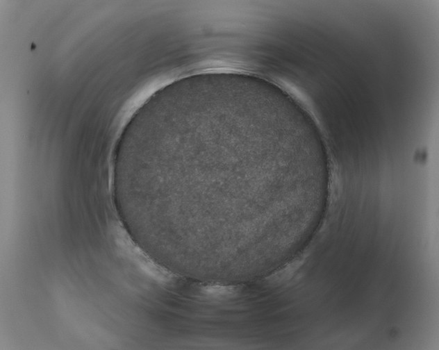 X0000111251419200907161355