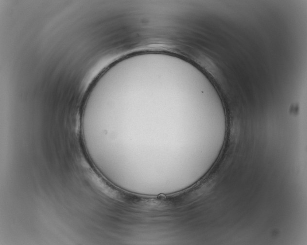 X0000111251420200907161355