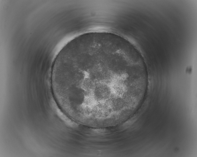 X0000111251421200907161355