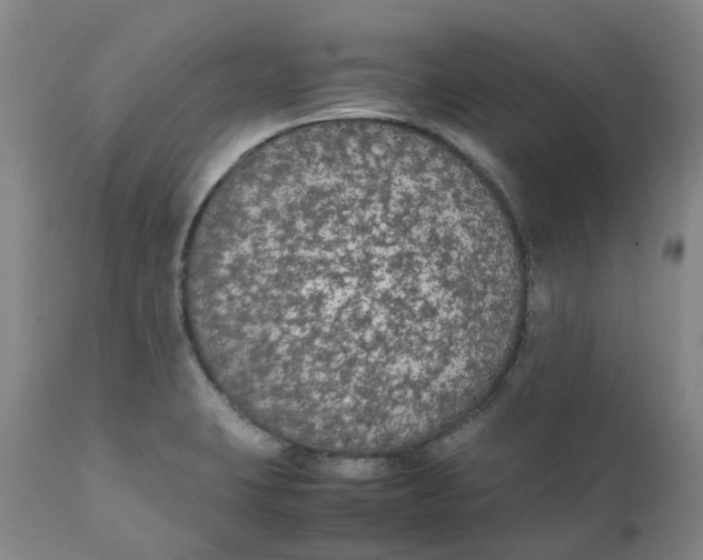 X0000111251423200907161355