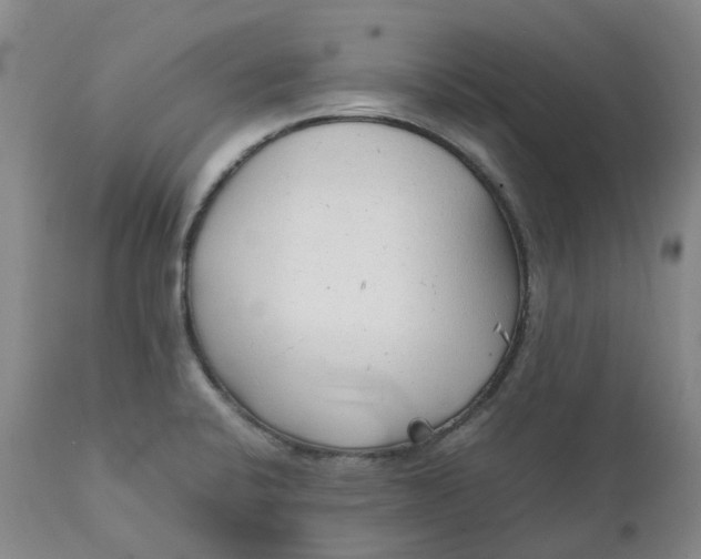 X0000111251424200907161355