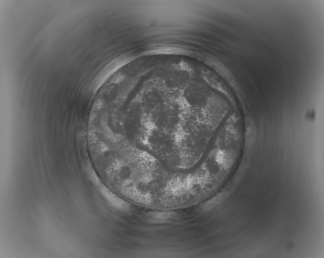 X0000111251425200907161355