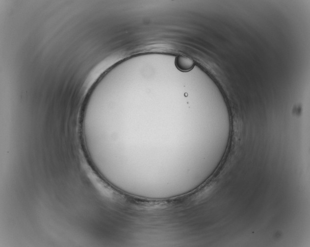 X0000111251426200907161356