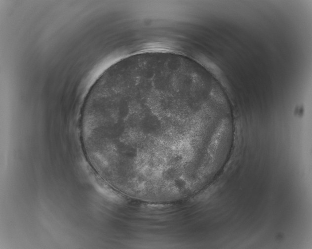 X0000111251427200907161356