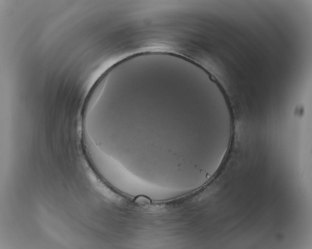 X0000111251428200907161356